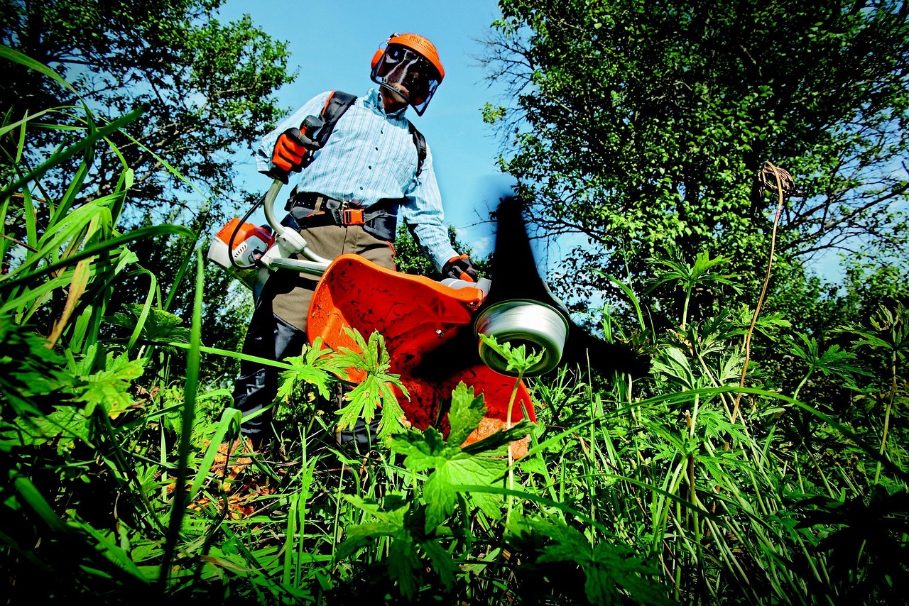 Service 1 - Routine Lawn Maintenance
