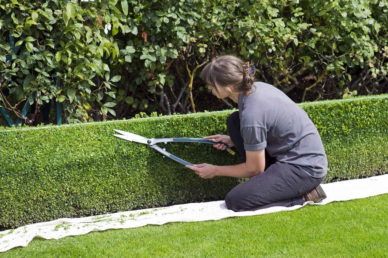 Service 2 - Landscape Maintenance